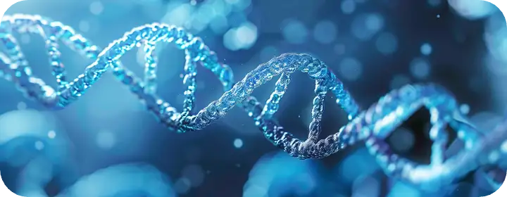 遺伝子のイメージ
