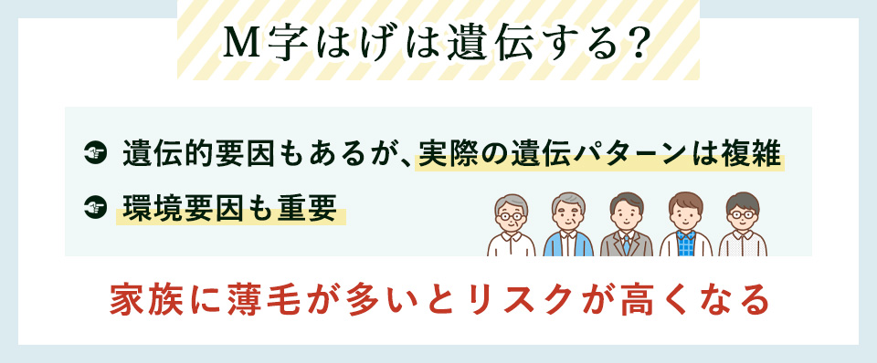 M字ハゲの遺伝についてまとめ