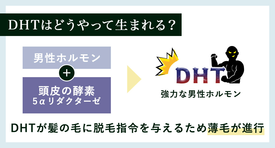 DHTはどうやって生まれる？