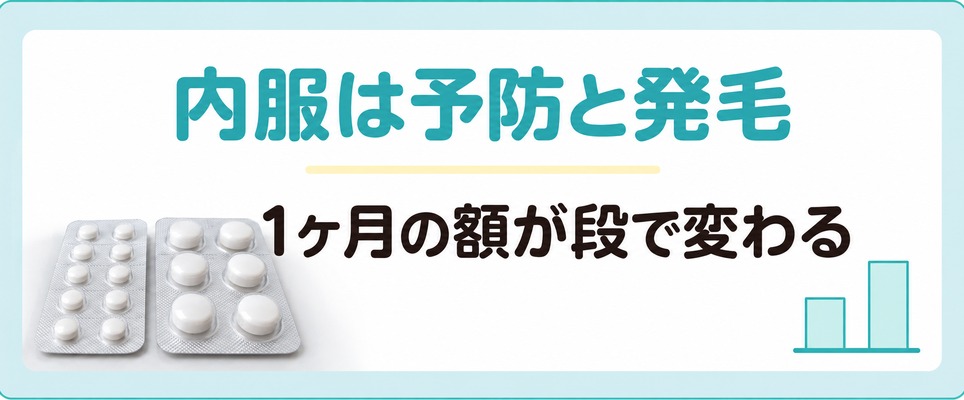 長野の院が処方する内服薬は予防と発毛で1ヶ月の額が変わる