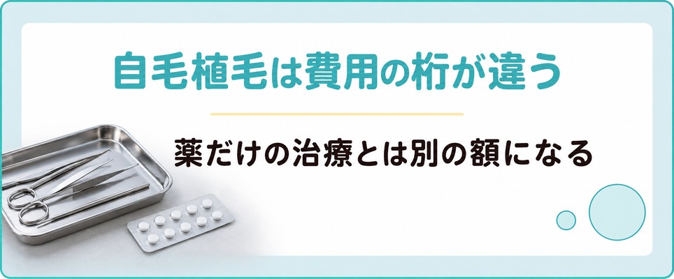 名古屋には自毛植毛の専門院があり薬だけのAGA治療とは費用の桁が違う