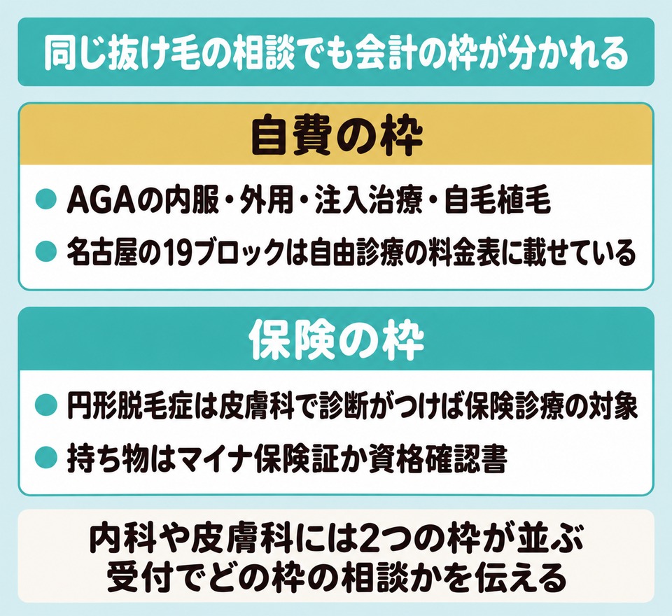 名古屋のAGAは自費の枠・円形脱毛症は保険の枠と会計が分かれることを示した図