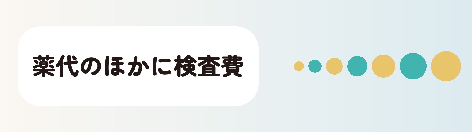 薬代のほかに検査費