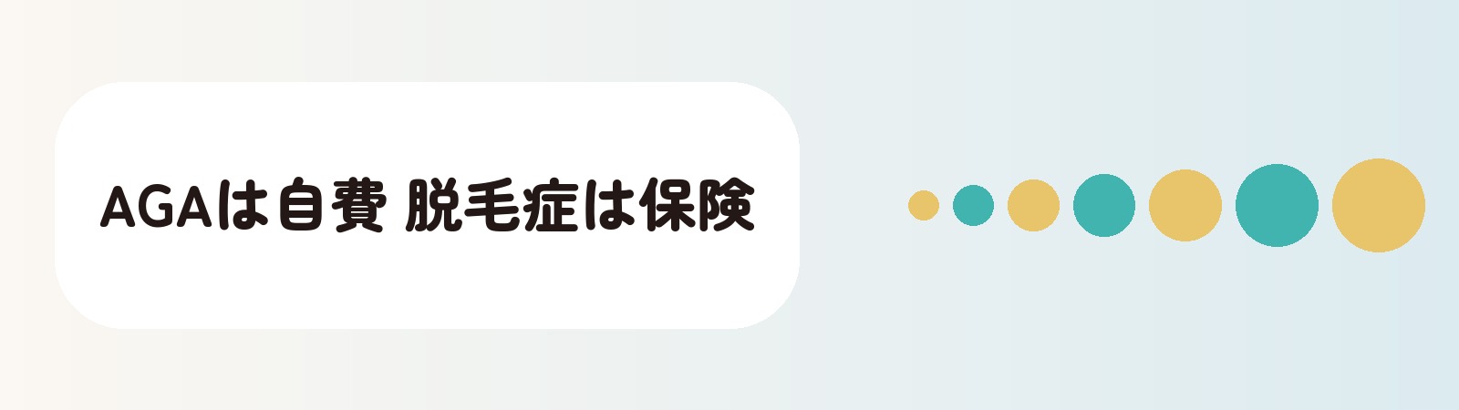 AGAは自費 脱毛症は保険