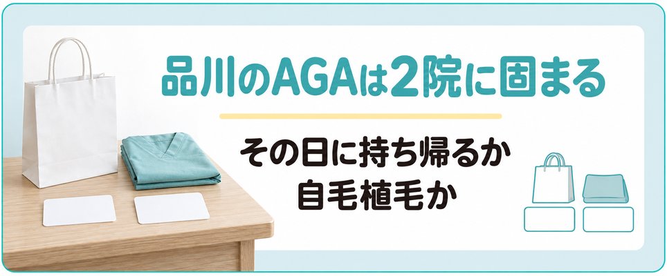 薬をその日に持ち帰れる院と自毛植毛を行う院で品川のAGA治療の候補は2院に固まる