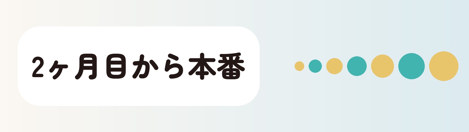 2ヶ月目から本番