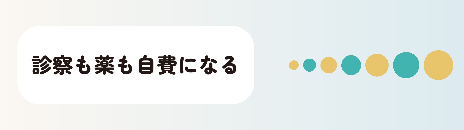 診察も薬も自費になる