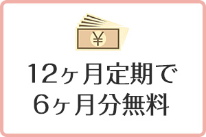 12ヶ月定期で6ヶ月分無料