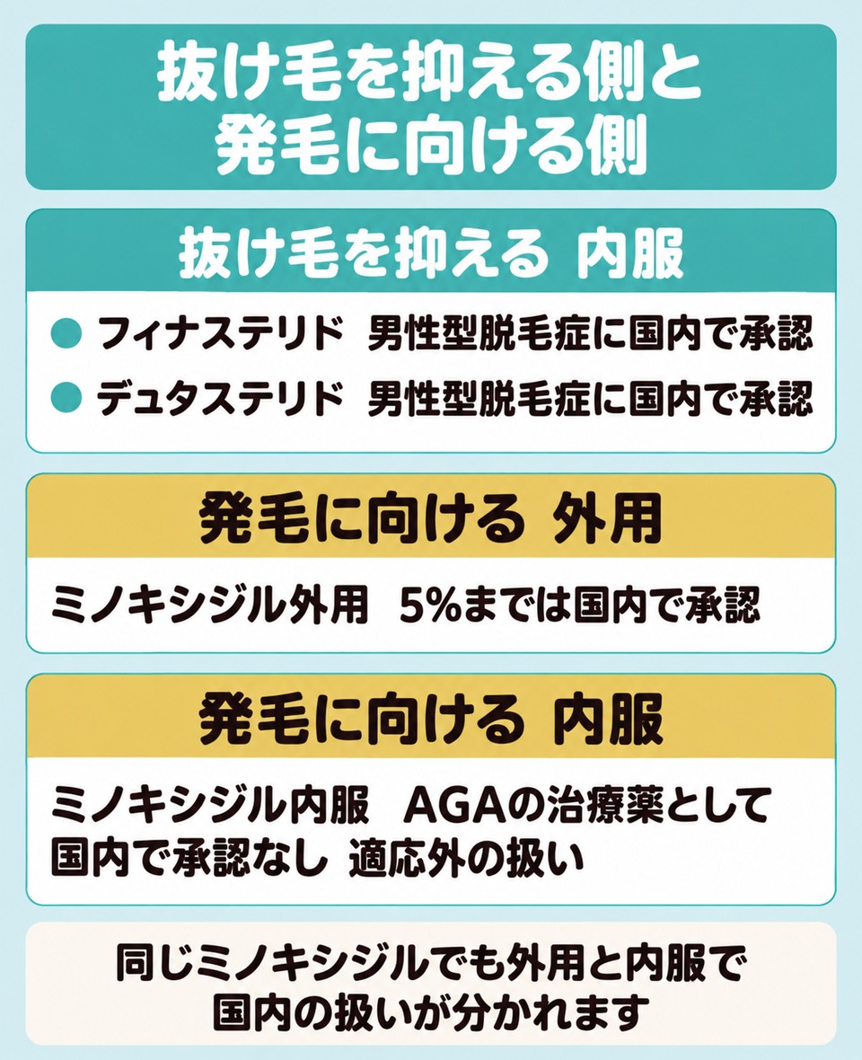 AGA治療薬を抜け毛を抑える側と発毛に向ける側に分けて内服と外用の国内の扱いを示した図