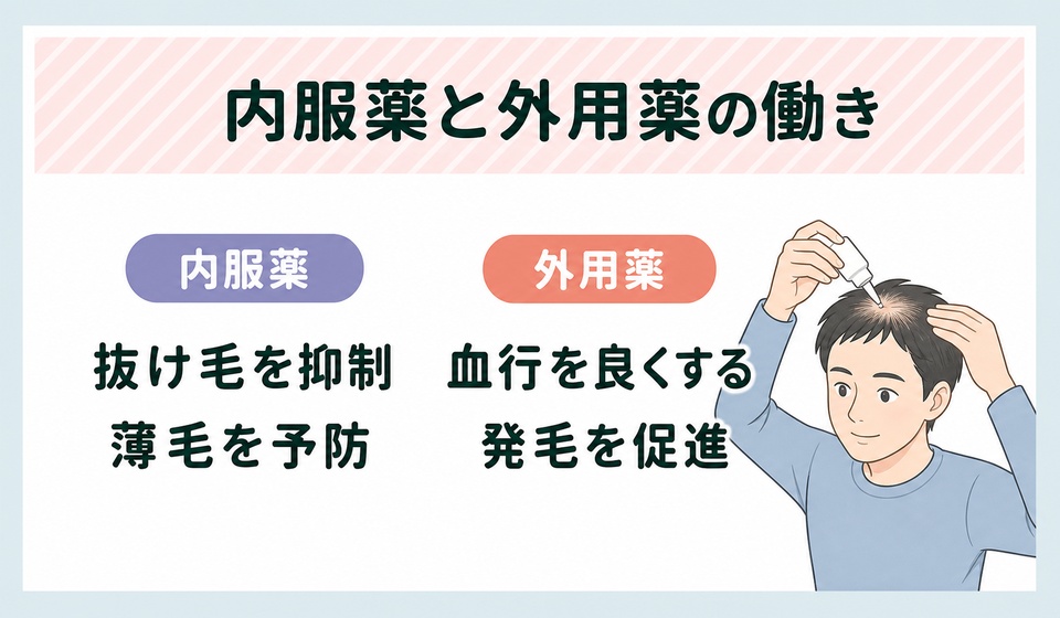 AGA内服薬と外用薬の働きの違い