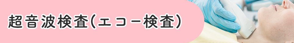 超音波検査(エコー検査)
