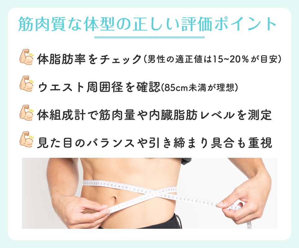 筋肉質な体型の正しい評価ポイントまとめ