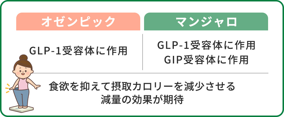 オゼンピックとマンジャロの作用まとめ