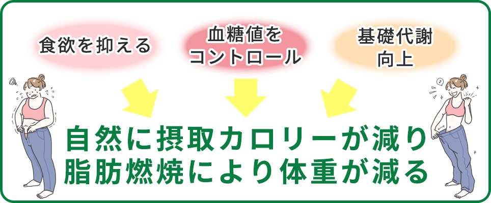 オゼンピックの痩せる効果まとめ