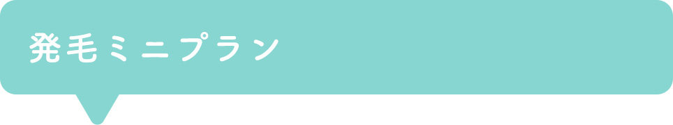 発毛ミニプラン