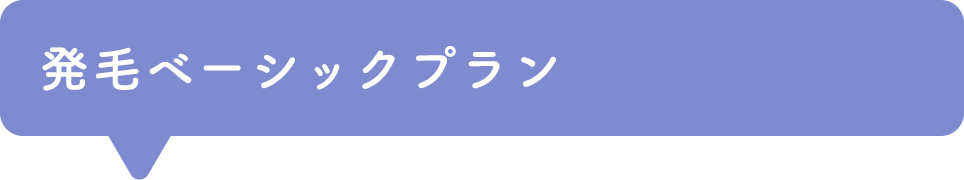 発毛ベーシックプラン