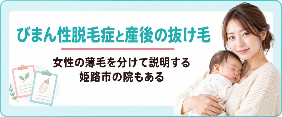 女性の薄毛をびまん性脱毛症と産後の抜け毛に分けて説明する姫路市の院もある