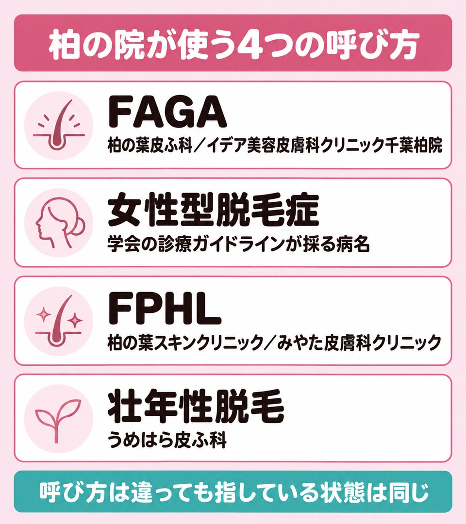 柏の院が使う女性の薄毛の4つの呼び方