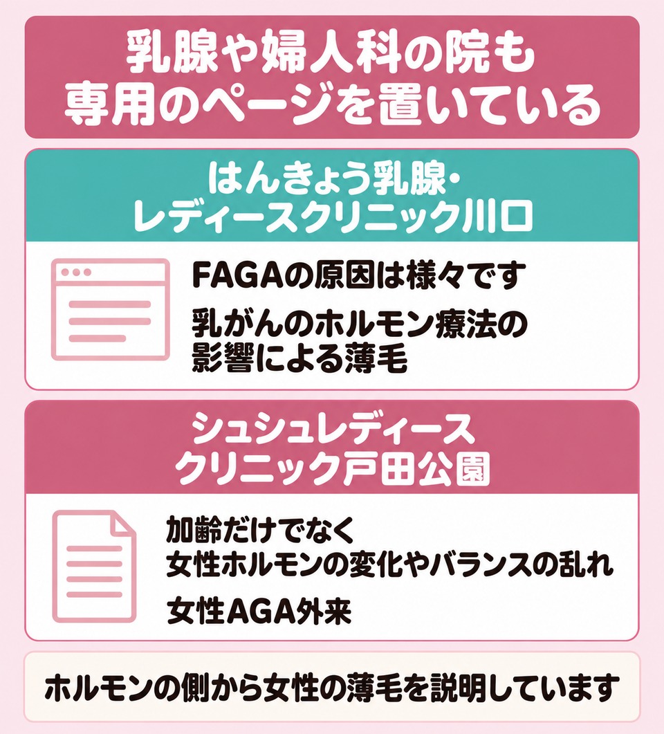 川口と戸田公園の2院がホルモンの側から女性の薄毛を説明している図解