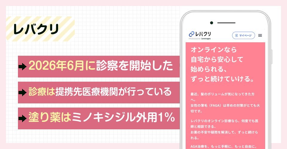 レバクリの特徴まとめ