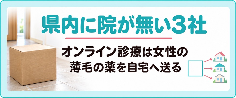 オンライン診療の3社は茨城県内に院が無く女性の薄毛の薬を自宅へ送る