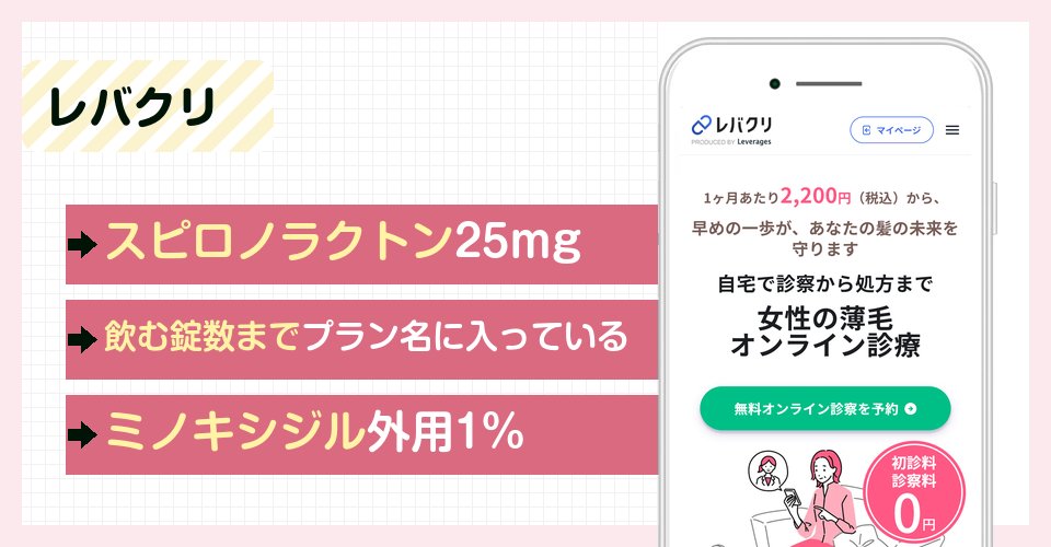 レバクリの特徴まとめ