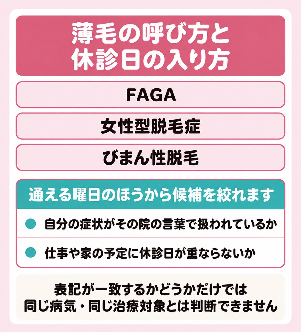 薄毛の呼び方の系統と休診日から候補を絞る見方の図解