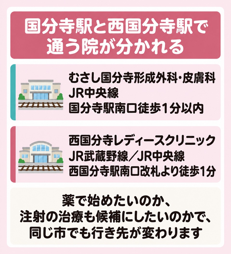国分寺駅と西国分寺駅で分かれる2院と路線