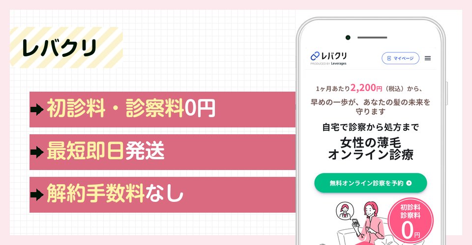 レバクリの特徴まとめ