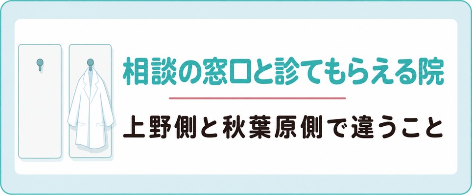 上野側に並ぶ薄毛の相談拠点と秋葉原の医療機関で女性が受けられることの違い