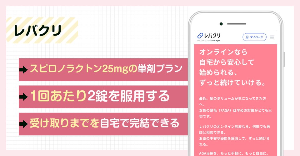 レバクリの特徴まとめ
