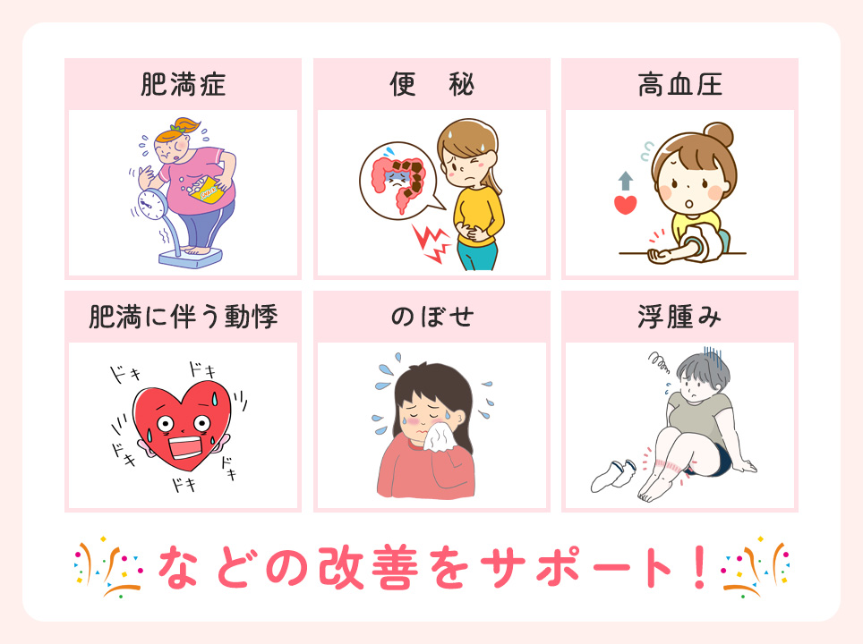 防風通聖散の主な効果一覧