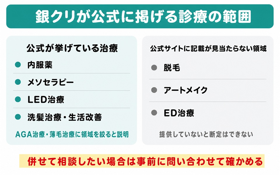 銀クリが公式に掲げる診療の範囲と記載が見当たらない領域