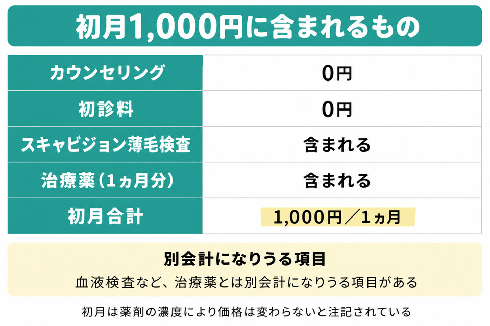 銀クリの初月1,000円に含まれるもの