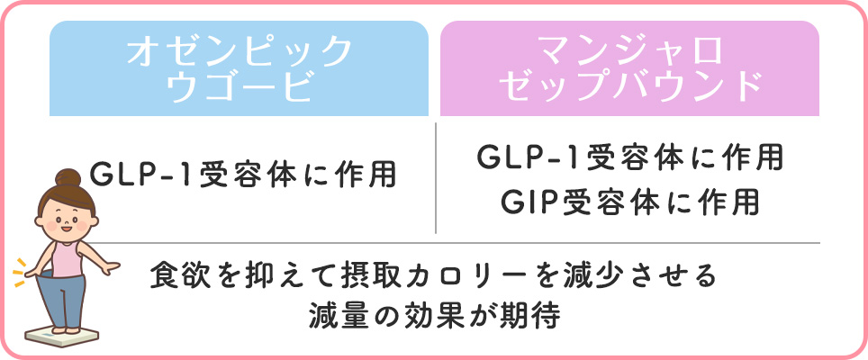 オゼンピックとマンジャロの作用まとめ