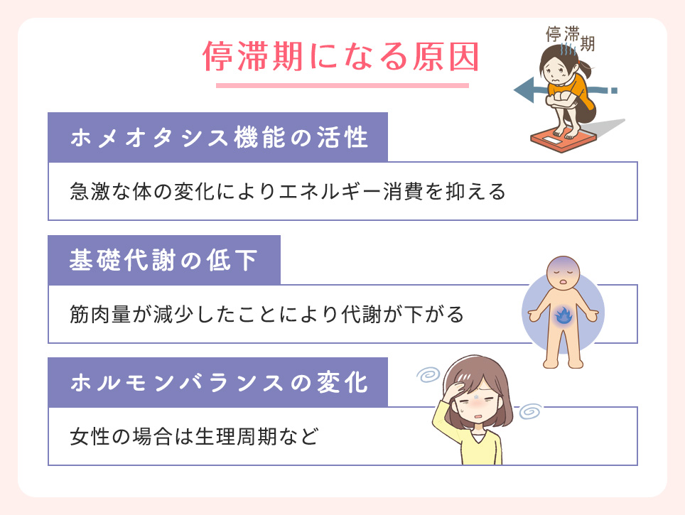 停滞期になる原因一覧