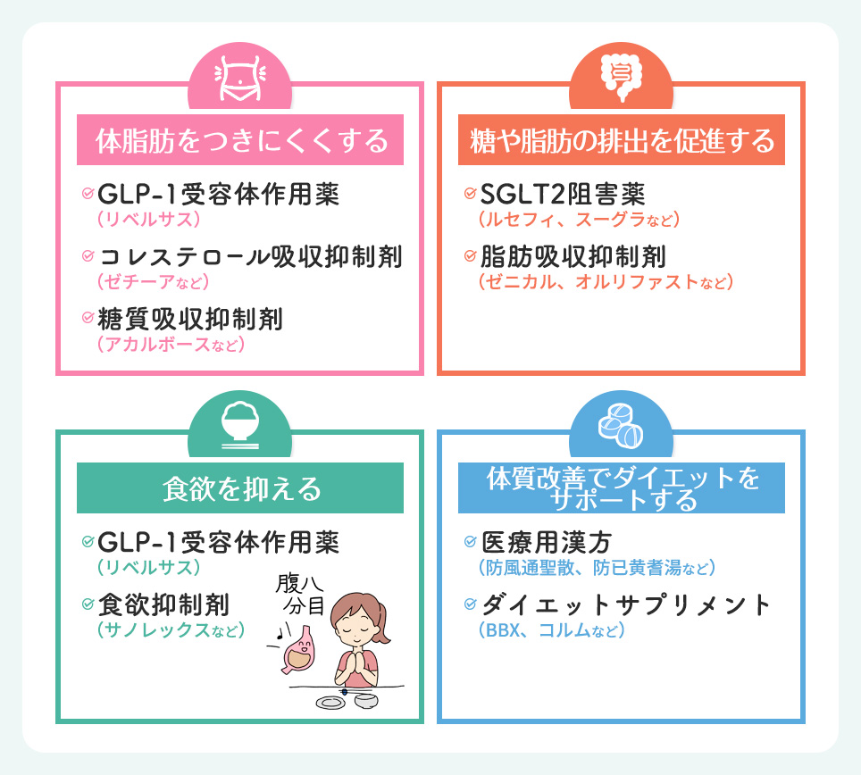 目的別医療ダイエット内服薬一覧