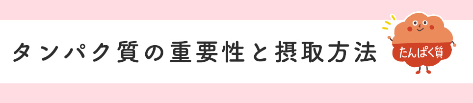 タンパク質の重要性と摂取方法
