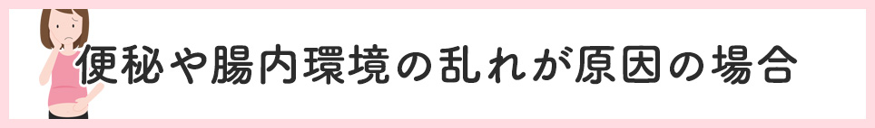 便秘や腸内環境の乱れが原因の場合
