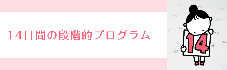 14日間の段階的プログラム