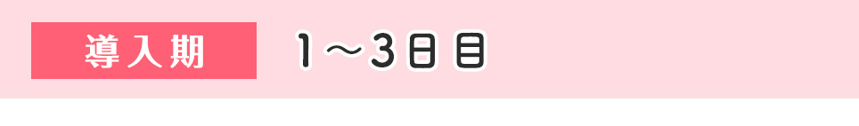 1～3日目（導入期）
