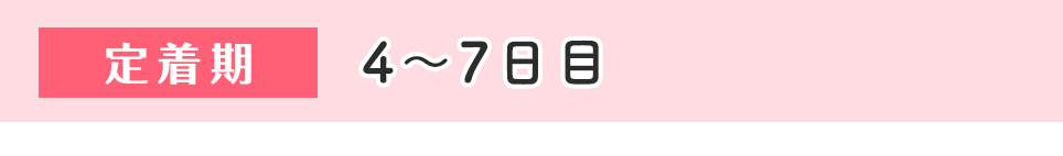 4～7日目（定着期）