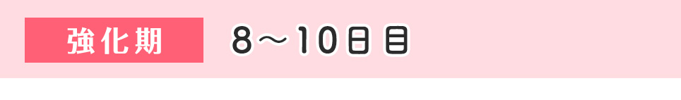 8～10日目（強化期）