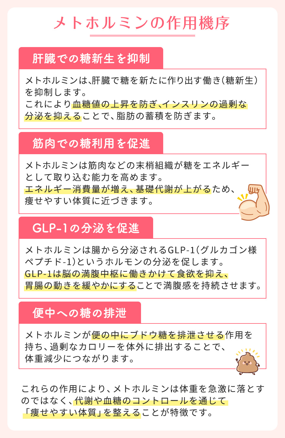 メトホルミンの作用機序まとめ