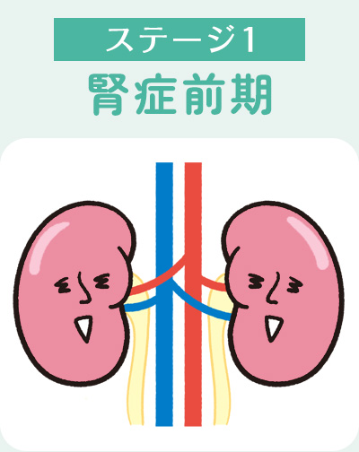 ステージ1腎症前期