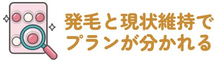 発毛と現状維持で・プランが分かれる